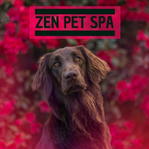 Обложка для Pet Care Music Therapy - Vitality