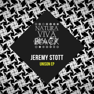 Обложка для Jeremy Stott - Unison