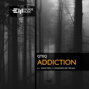 Обложка для QTEQ - Addiction