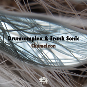 Обложка для Frank Sonic, Drumcomplex - Ikaruna