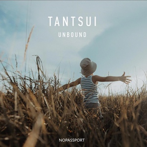 Обложка для Tantsui - Under Cover