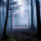 Обложка для EugeneKha - Light in the Fog
