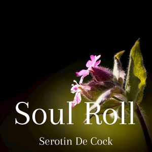 Обложка для Serotin De Cock - Time for Evening