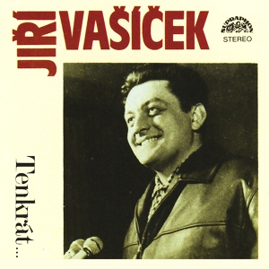 Обложка для Jiří Vašíček - Neměl Jsem Tě Rád