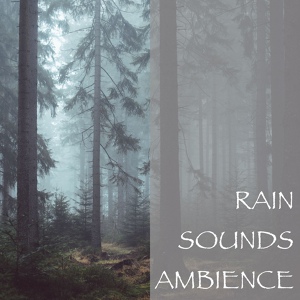 Обложка для Thunderstorm - Rain Sounds - Swedish Nature