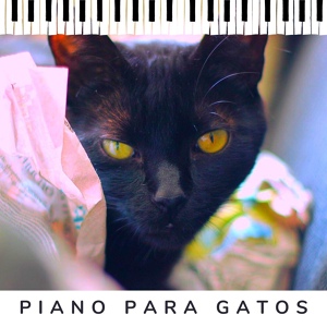 Обложка для Piano for cats - Music for Kitties