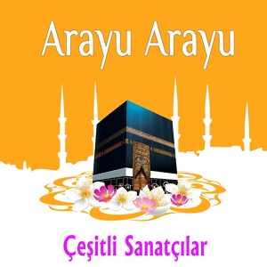Обложка для Abdurrahman Önül - Medine Gülü