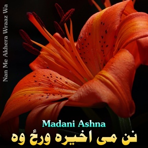 Обложка для Madani Ashna - Alta Agha Ra Pase Zhare Dalta Za Akhtar Ke