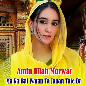 Обложка для Amin Ullah Marwat - Naseeb Pa Zan Maghro Sho
