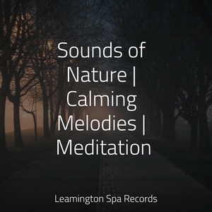 Обложка для Sleeping Baby Songs, White Noise for Deeper Sleep, Nature and Rain - Breather