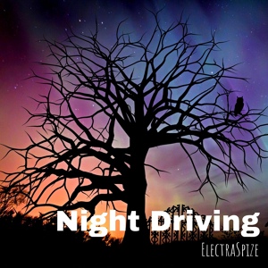 Обложка для ElectraSpize - Night Driving