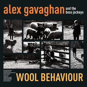 Обложка для Alex Gavaghan, The Boss Jockeys - Couldn't Keep My Big Mouth Shut