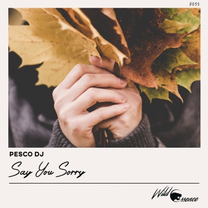 Обложка для Pesco DJ - Say You Sorry (Original Mix)