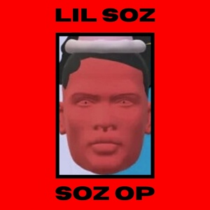Обложка для Lil Soz - N0T Hyp3R P0P Xd