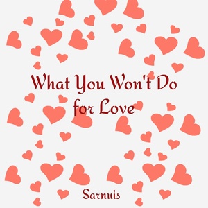 Обложка для Sarnuis - What You Wont Do for Love