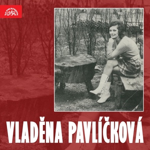 Обложка для Vladěna Pavlíčková, Gustav Brom, Orchestr Gustava Broma - Někdo hledá náš dům