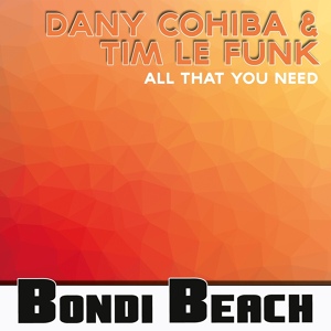 Обложка для Dany Cohiba, Tim Le Funk - All That You Need