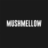 Обложка для Mushmellow - Come Back Home