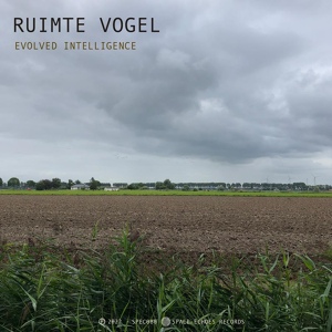 Обложка для Ruimte Vogel - Evolved Intelligence (Original Mix)