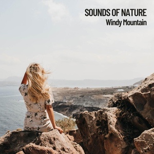 Обложка для Nature Recordings, Concentration Music for Work, Massage Tribe - Wind Sensation