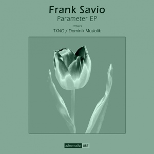 Обложка для Frank Savio - Parameter