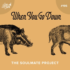 Обложка для The Soulmate Project - When You Go Down