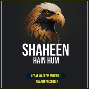 Обложка для Anasheed Studio feat. waseem muavia - Shaheen Hain Hum