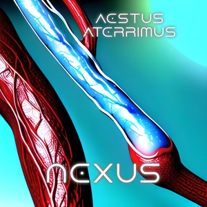 Обложка для Aestus Aterrimus - Alluvio Maris