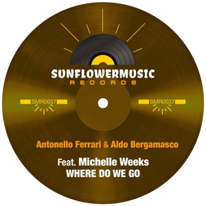 Обложка для Antonello Ferrari, Aldo Bergamasco feat. Michelle Weeks - Where Do We Go