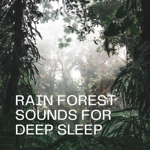 Обложка для Ivy Dawson - Thunderstorm Sounds for Sleeping