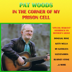 Обложка для Pat Woods - Blarney Stone