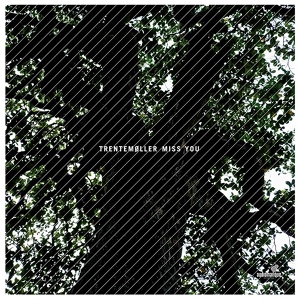 Обложка для Trentemoller - Miss You (Pascal F.E.O.S. Edit)