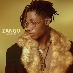 Обложка для Snow Flakes - Zango