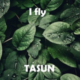 Обложка для TASUN - I fly