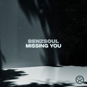 Обложка для Benzsoul - Missing You