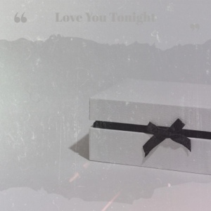 Обложка для Robert Nighthawk - Love You Tonight