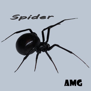 Обложка для AMG - Spider