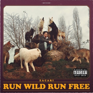 Обложка для Zacari - Run Wild Run Free