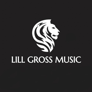 Обложка для Lill Gross Music feat. Nav Deep - Fallen