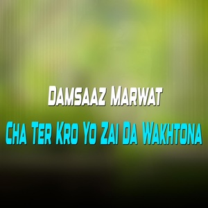 Обложка для Damsaaz Marwat - Ashqi Ashqi