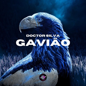 Обложка для Doctor Silva - Gavião