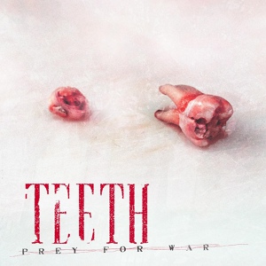 Обложка для Teeth - Prey For War (feat. CJ McMahon)