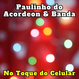 Обложка для Paulinho do Acordeon & Banda - Tô na Balada