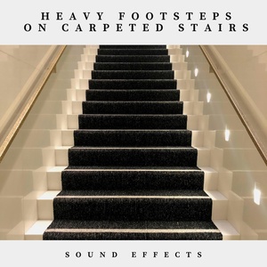 Обложка для Sound Effects Nation - Heavy Foodsteps on Carpeted Stairs Sound Effects