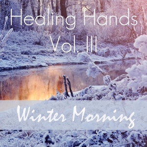 Обложка для Steven Melin - Healing Hands, Vol. III – Winter Morning (Pt. 2 of 3)