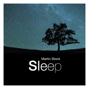 Обложка для Martin Stock - William