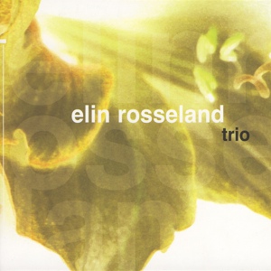 Обложка для Elin Rosseland - Gull