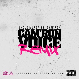 Обложка для Uncle Murda feat. Cam'ron - Cam'ron Voice (Remix)