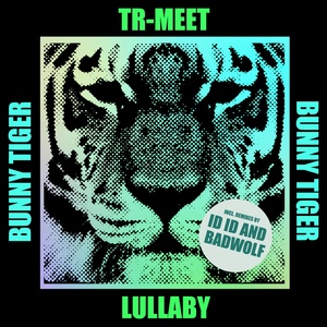 Обложка для TR-MEET - Lullaby (ID ID Remix)