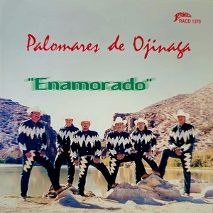 Обложка для Palomares De Ojinaga - Terminó